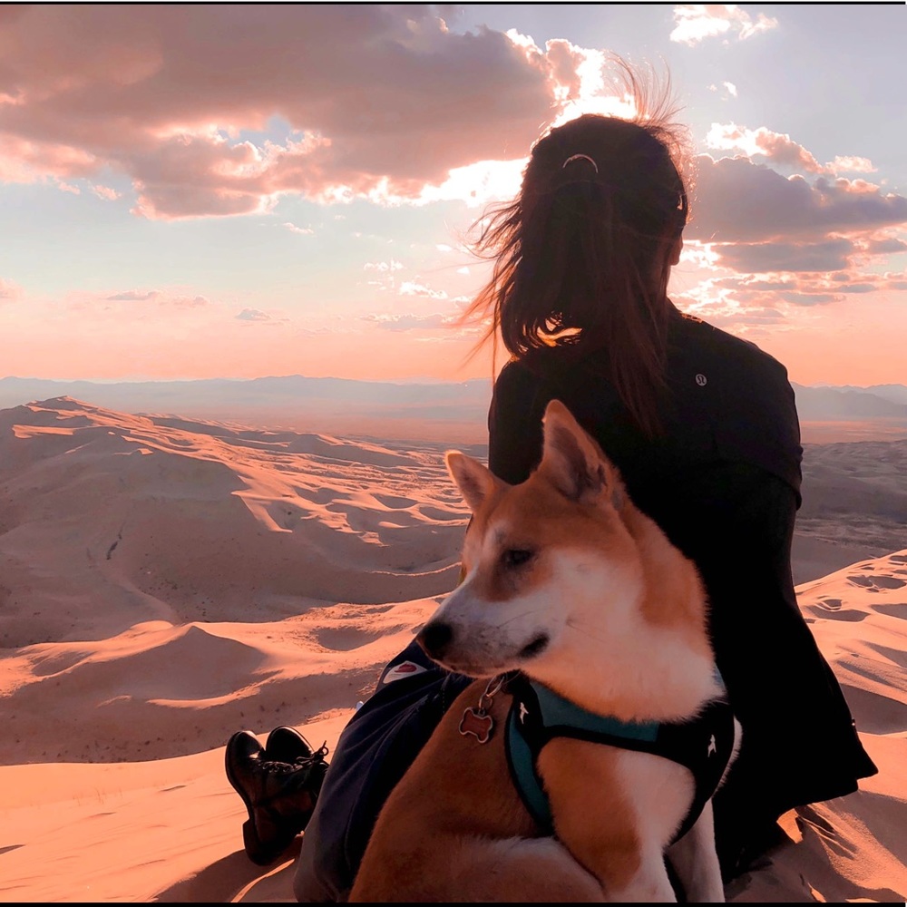 Meet your Posher, Julia